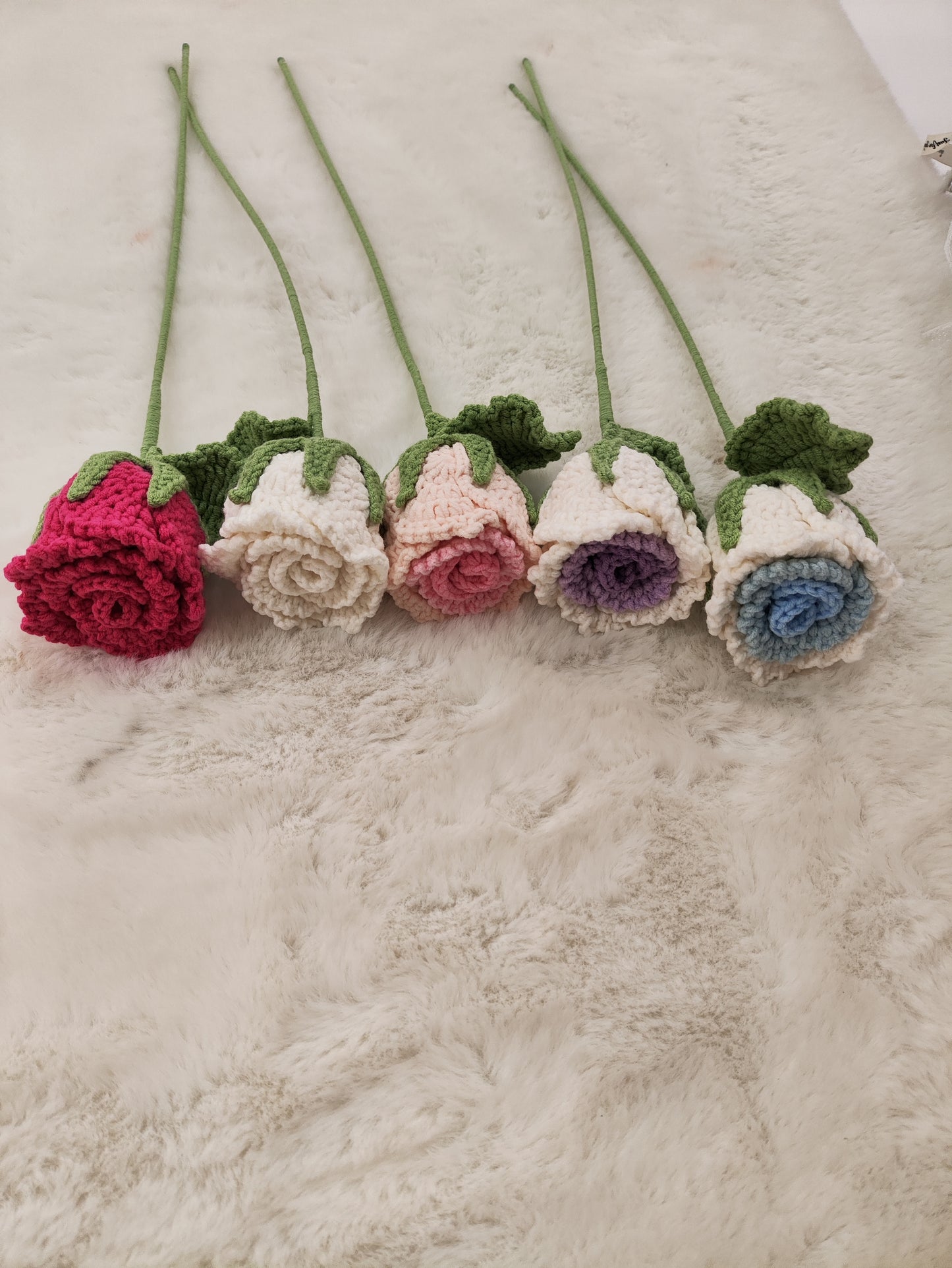 FLowers Rose