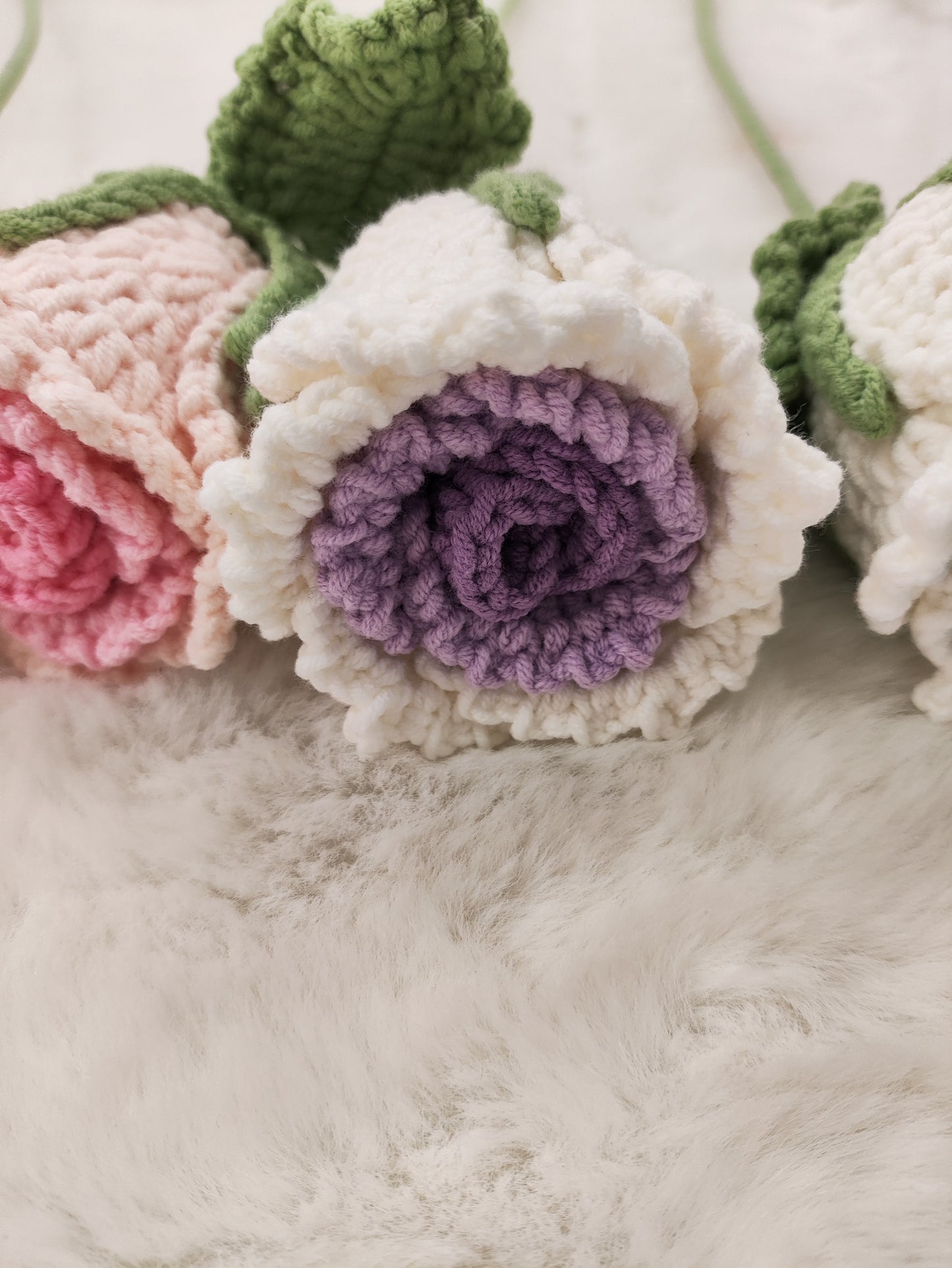 FLowers Rose