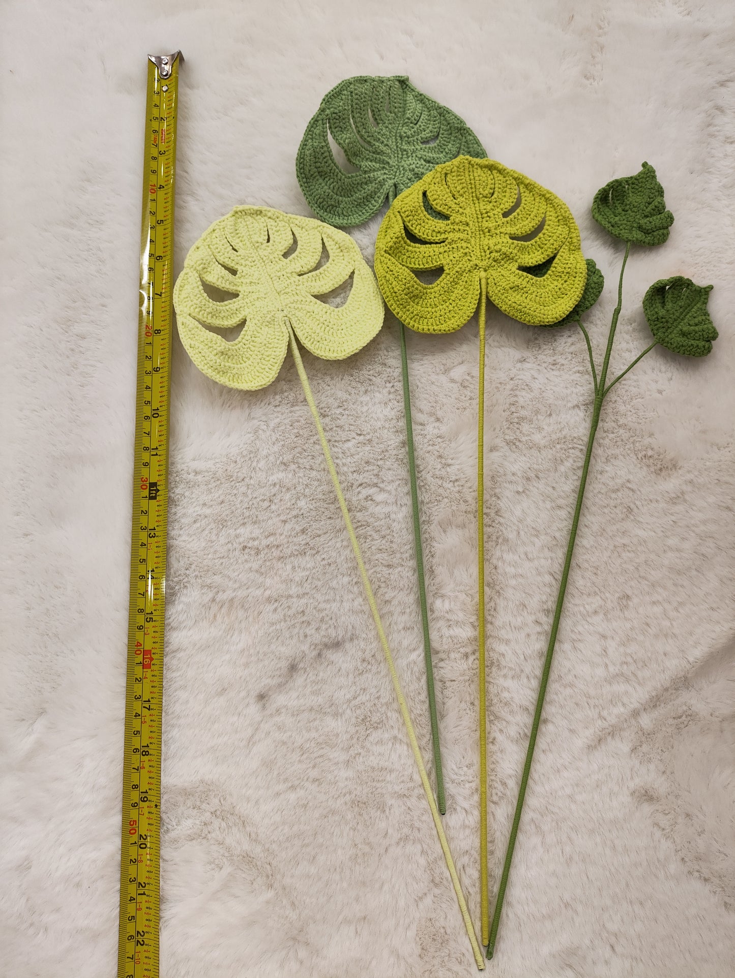 Flowers Monstera