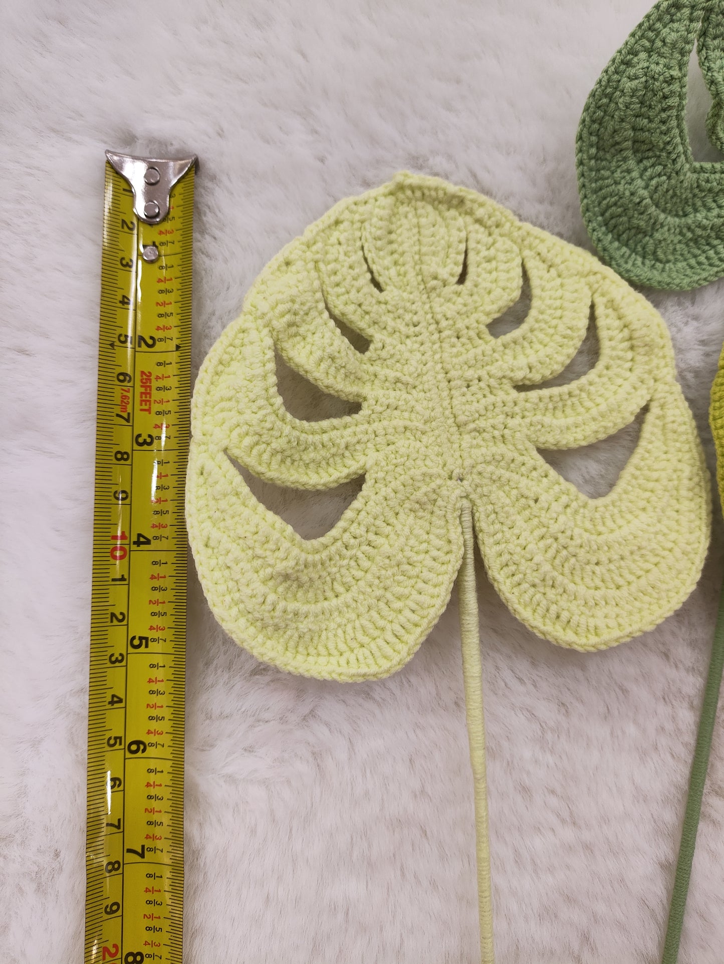 Flowers Monstera