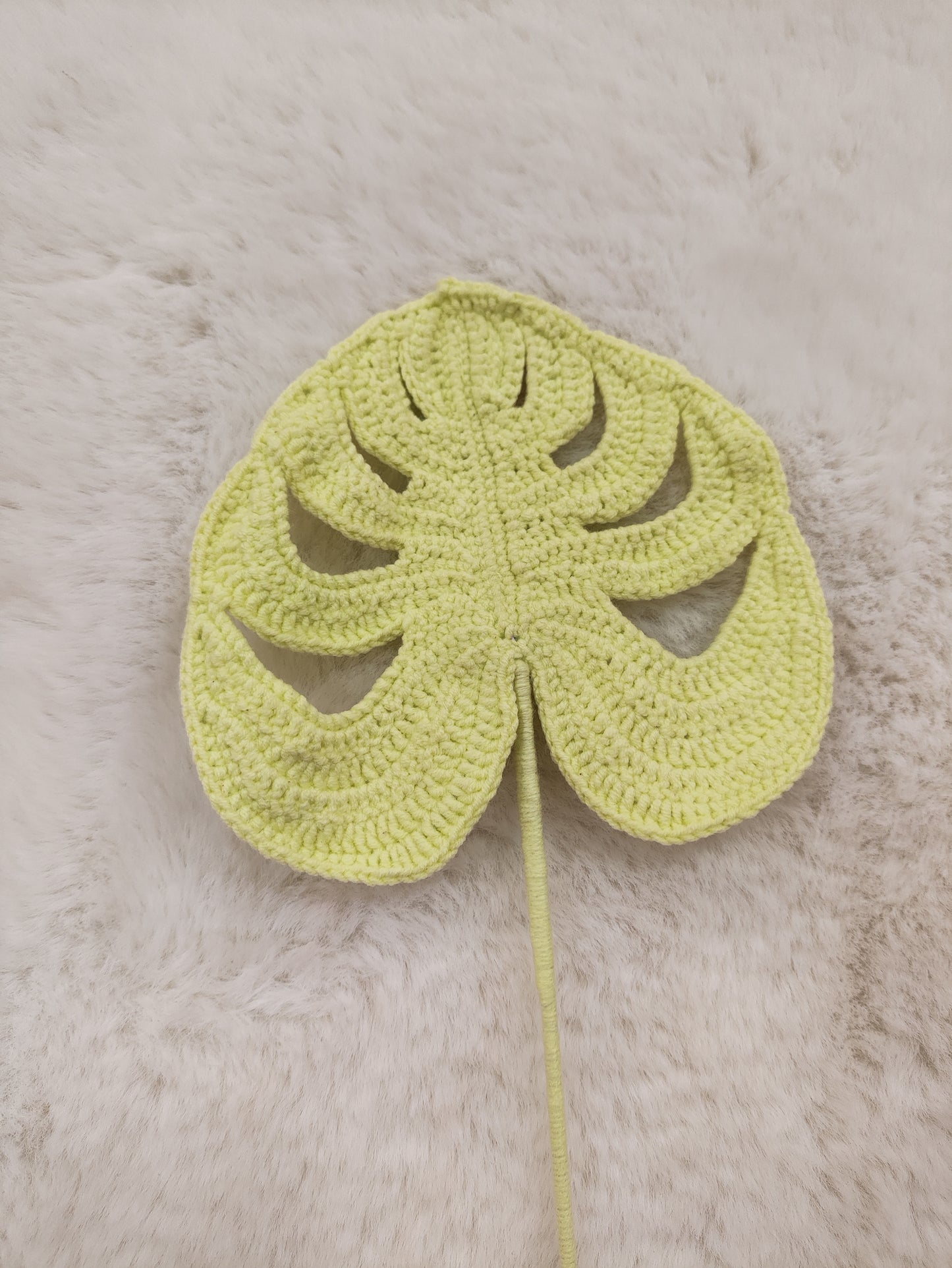 Flowers Monstera