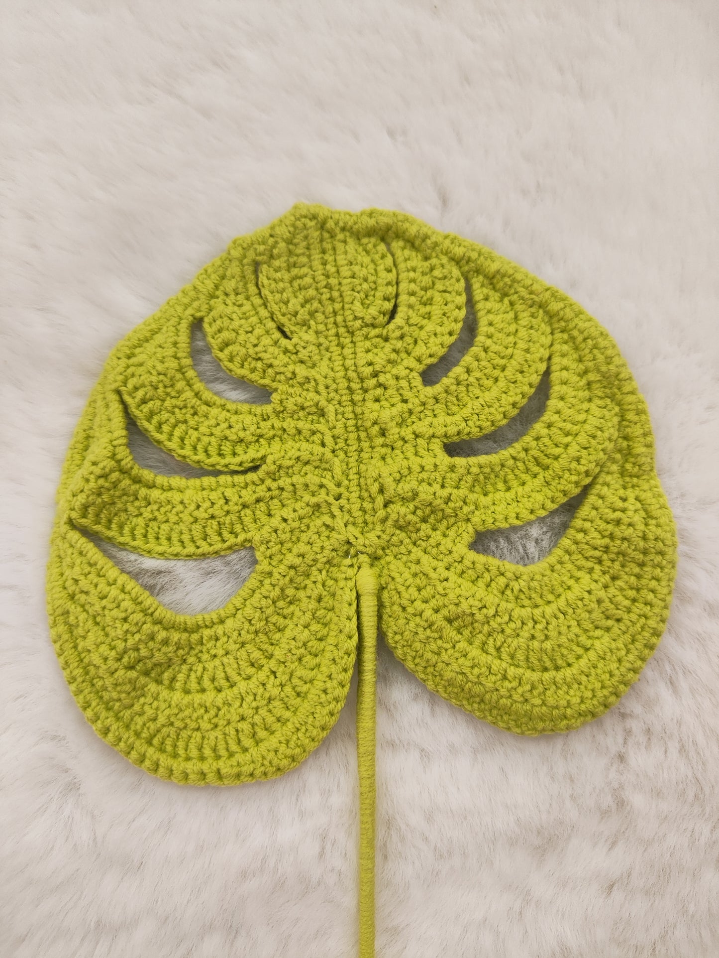 Flowers Monstera
