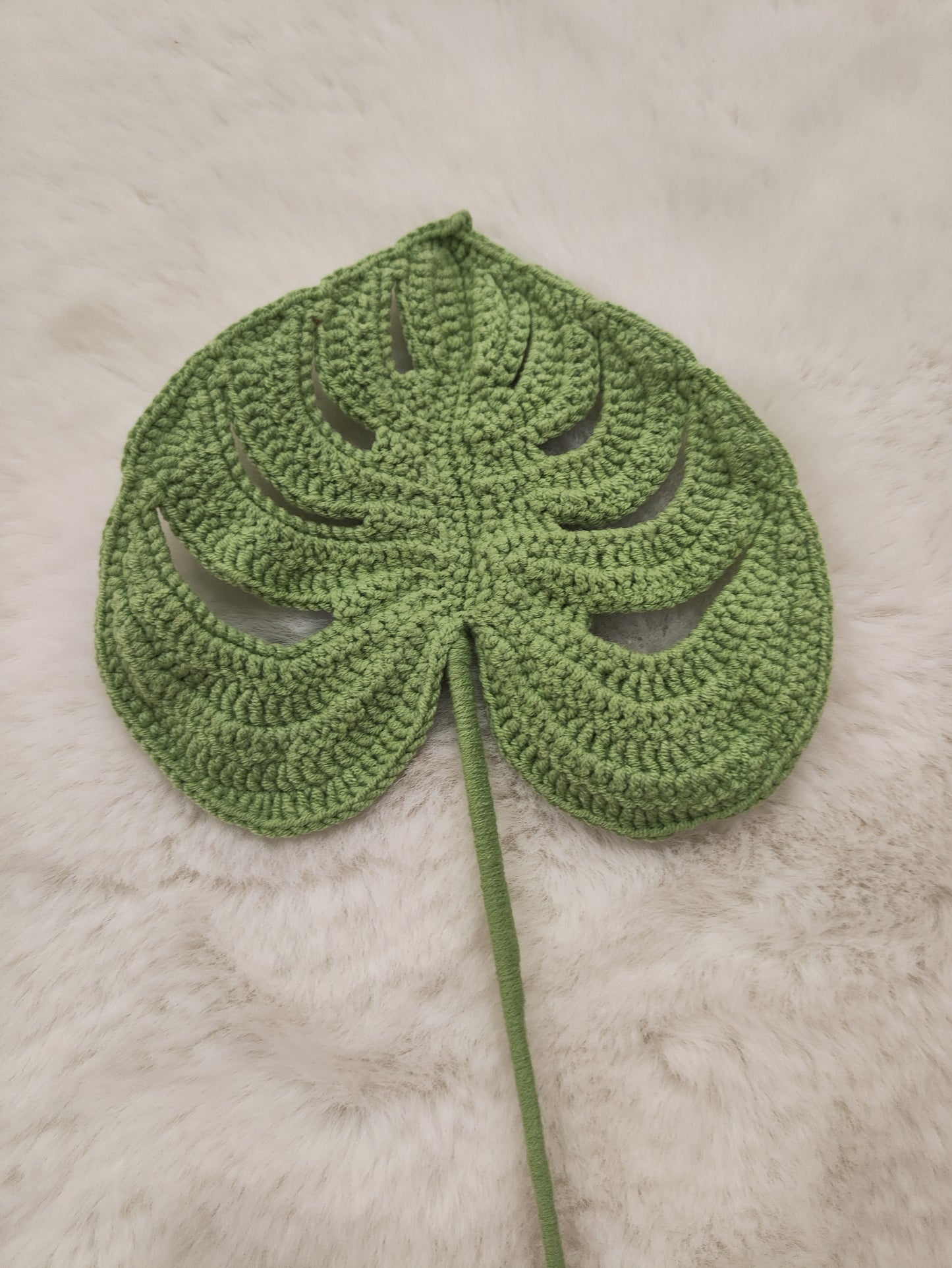 Flowers Monstera