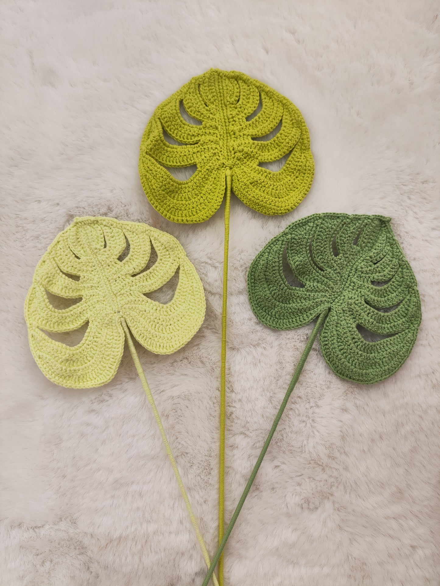 Flowers Monstera