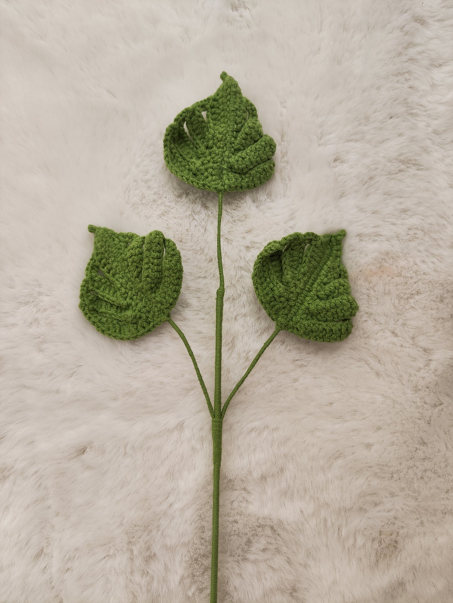 Flowers Monstera