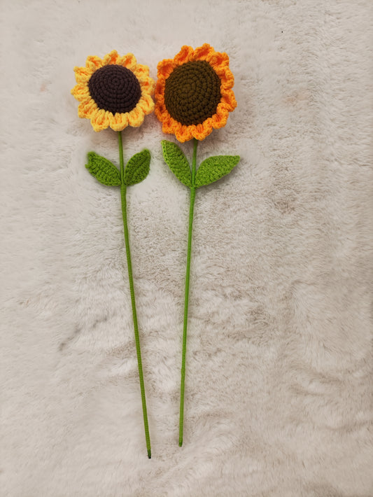 FLowers Sunflower