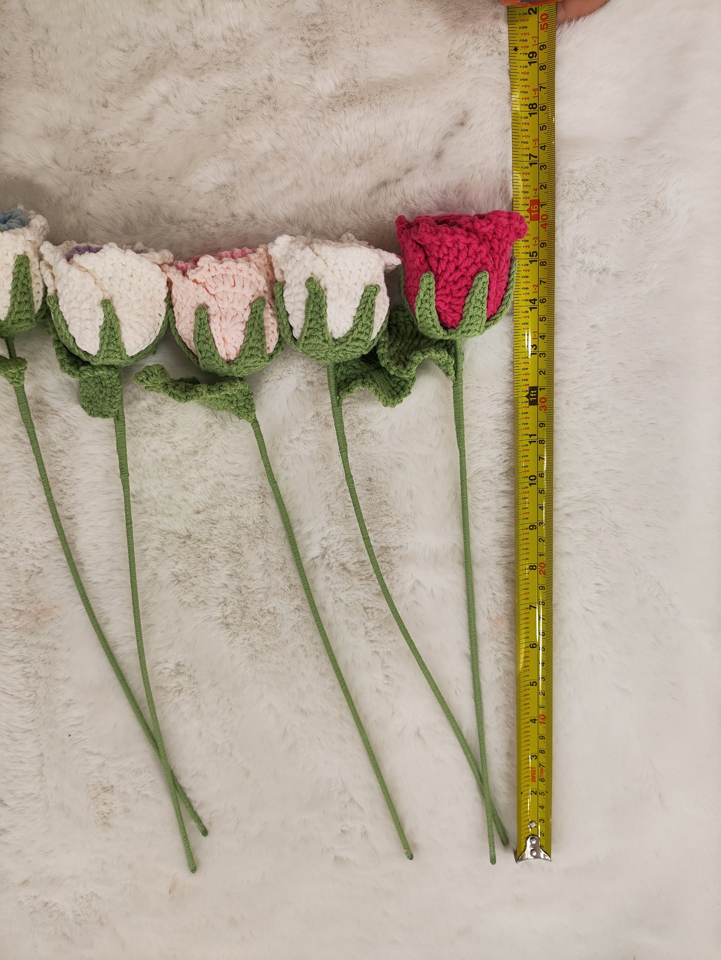 FLowers Rose
