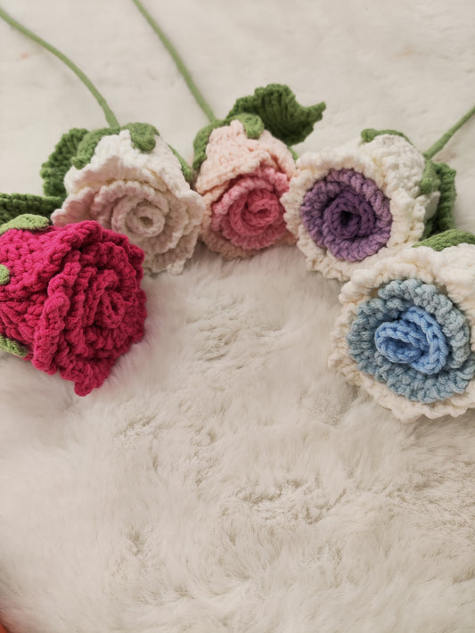 FLowers Rose
