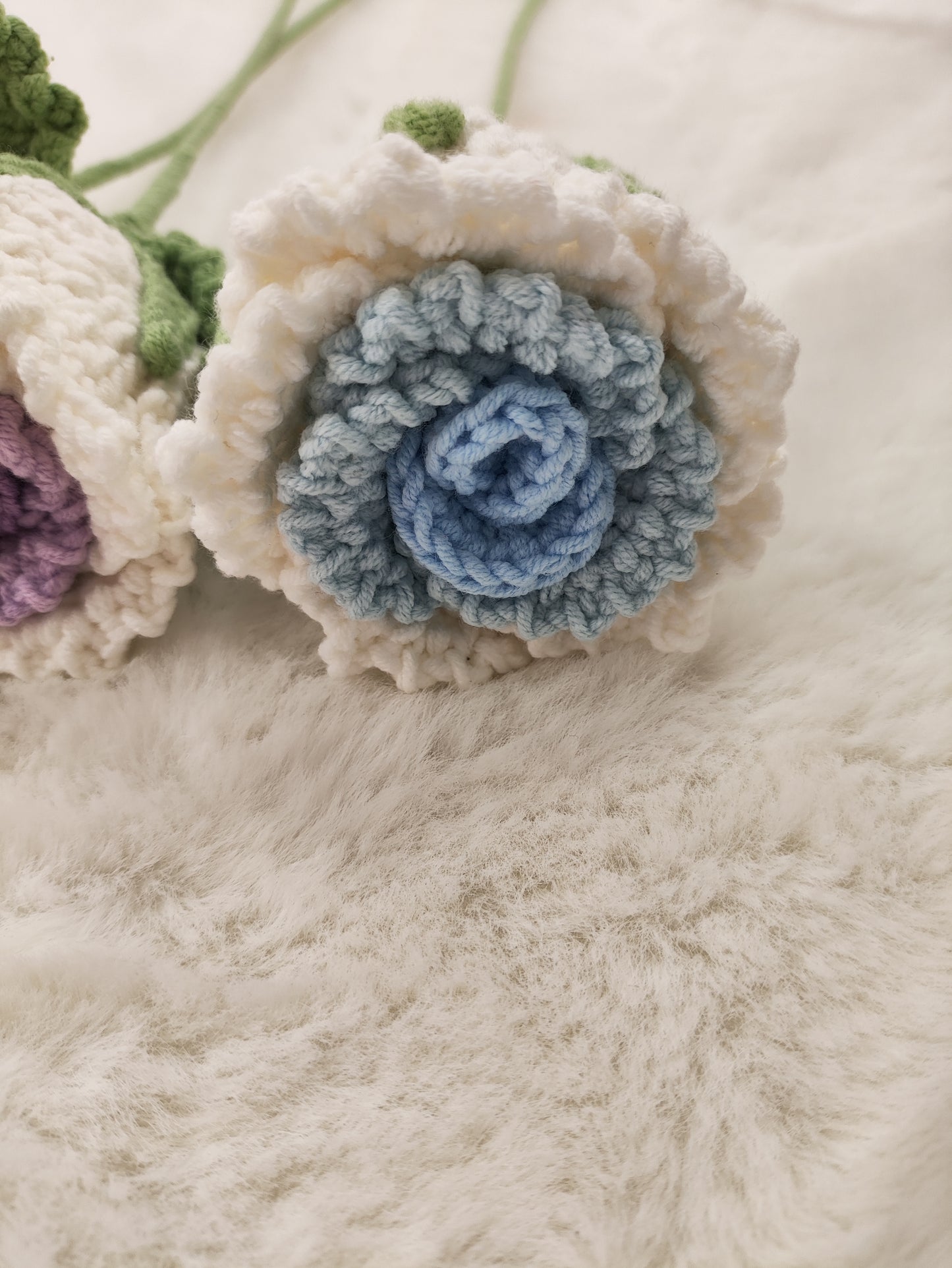FLowers Rose