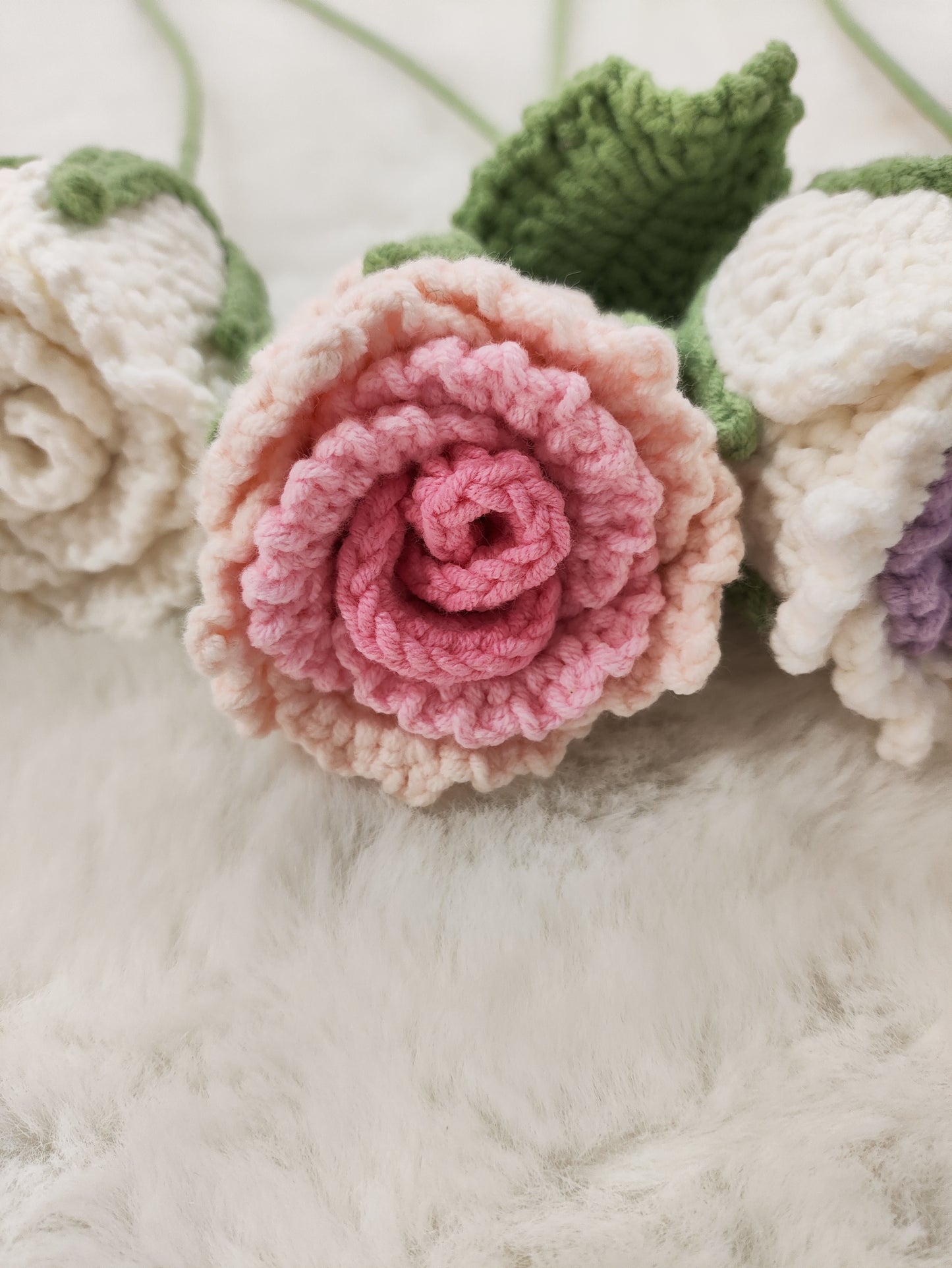 FLowers Rose