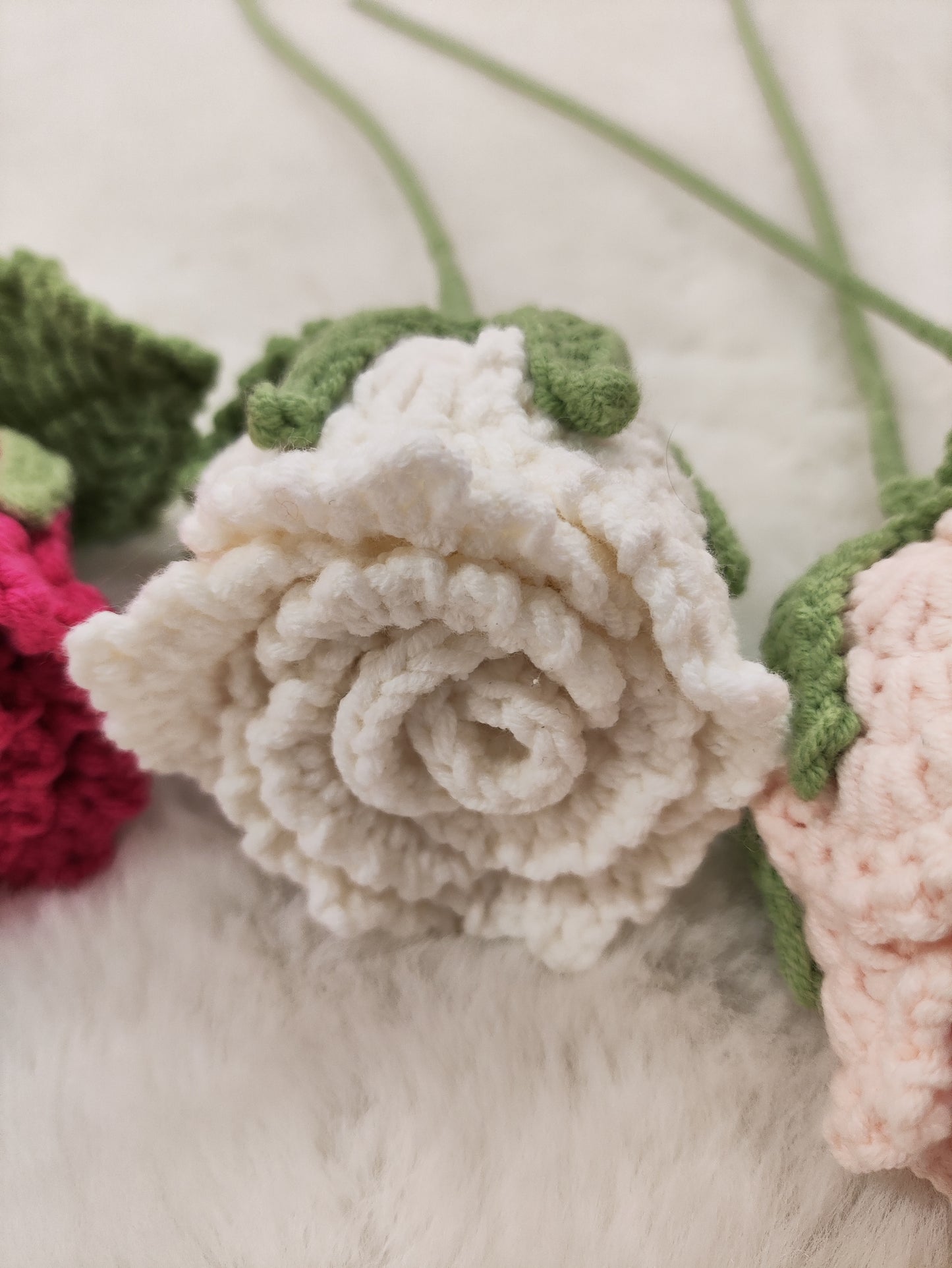 FLowers Rose