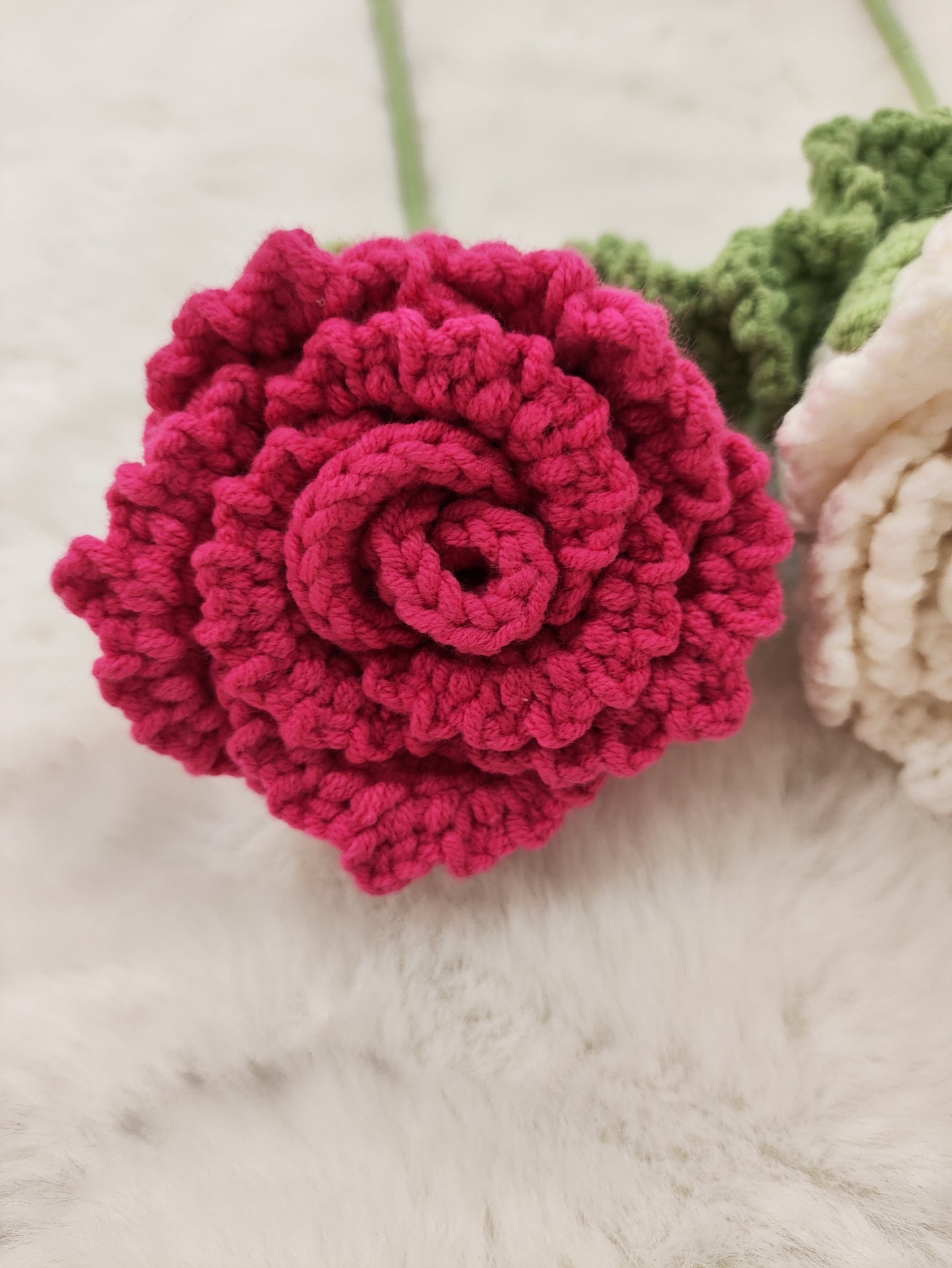 FLowers Rose