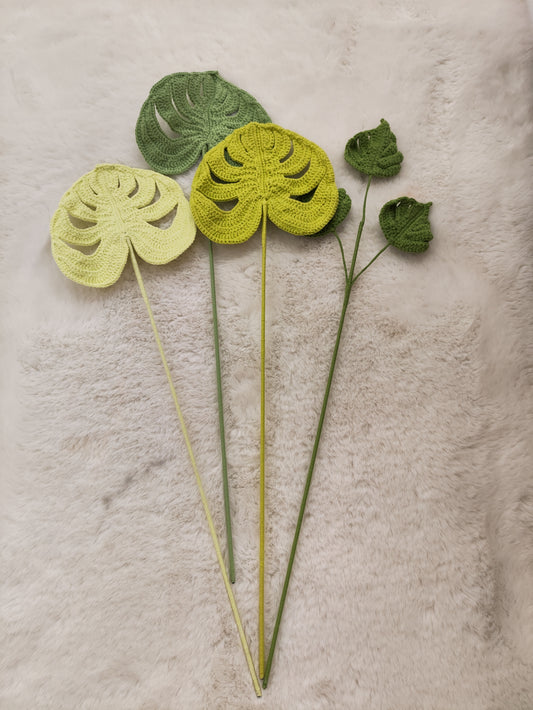 Flowers Monstera