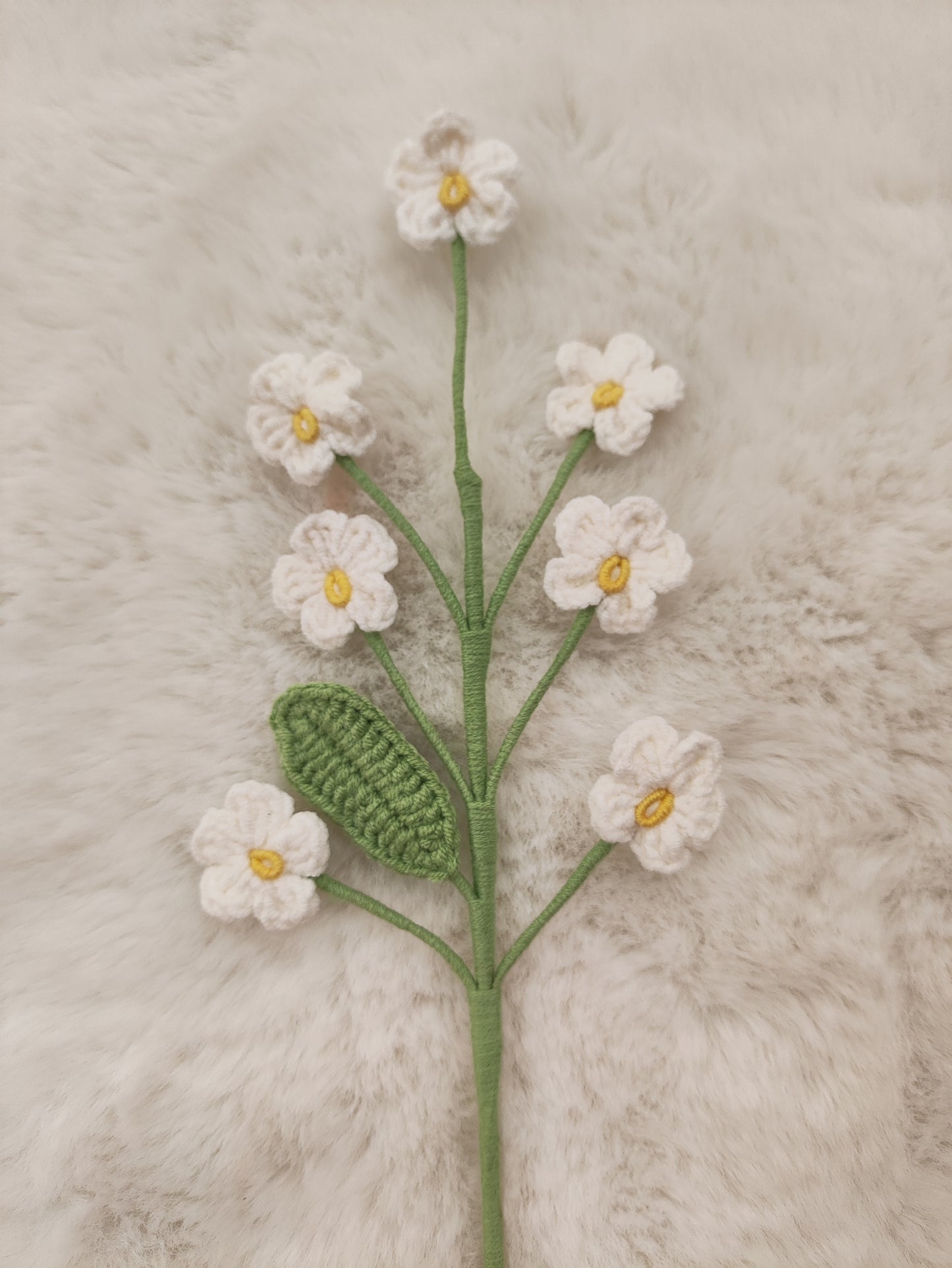Flowers Forgot-me-not